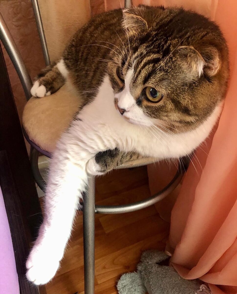 Фото из свободного доступа.