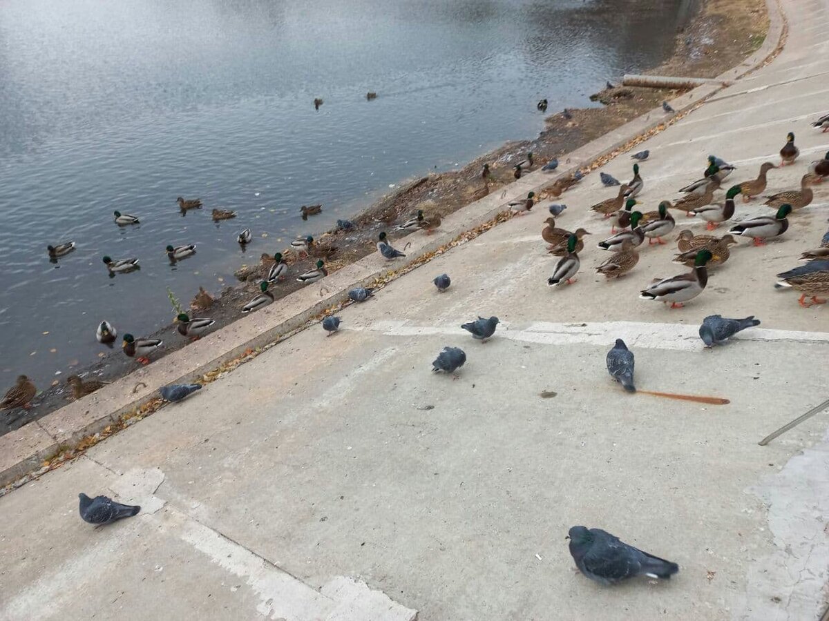 Фото автора.