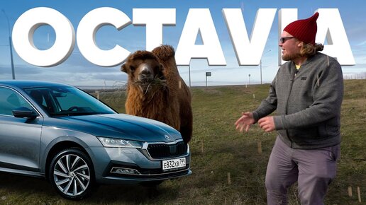 Новая Skoda OCTAVIA - Большой тест-драйв