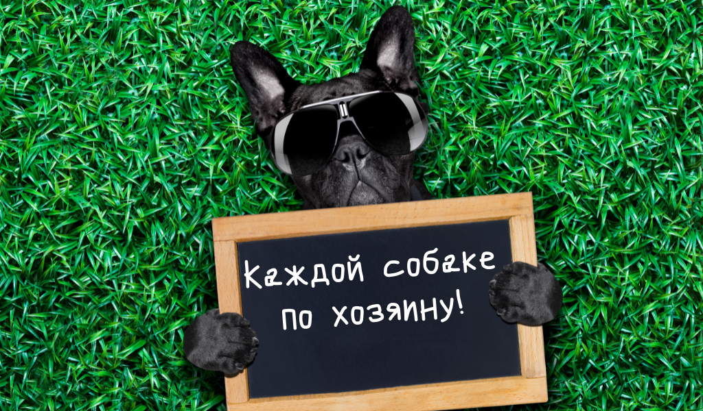 По хорошему хозяину!