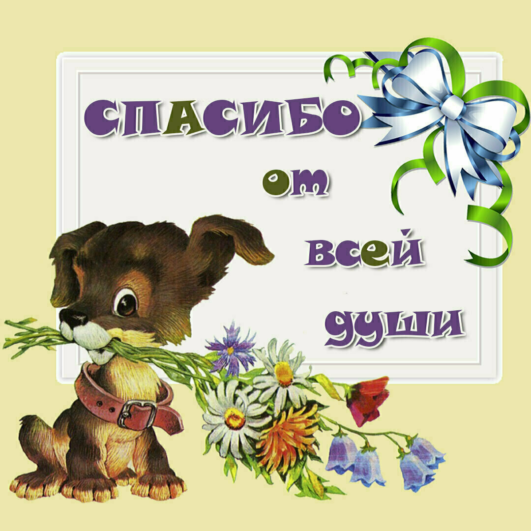 Из открытого источника