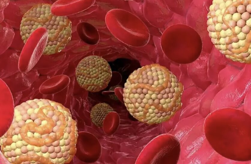 Источник Яндекс картинки