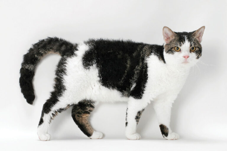 Его как будто током шандарахнуло...