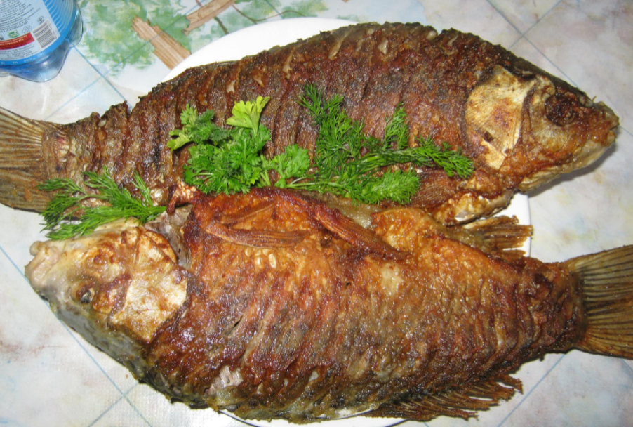 Фото Владимир Рубцов https://fotopoisk.com.ua/photos/show/15772?photoid=152447