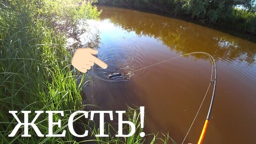 «Самая дикая боль. Слабонервным не смотреть»: Алена Водонаева показала видео с операции