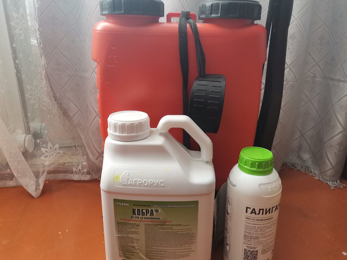 Гербициды для лука, чеснока, укропа, петрушки, моркови и других культур