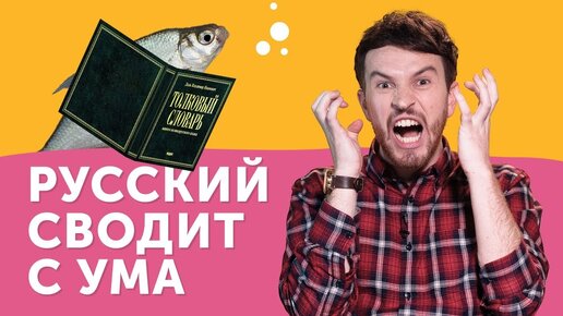 «Русский сложный и нелогичный»: что удивляет иностранцев, изучающих русский язык