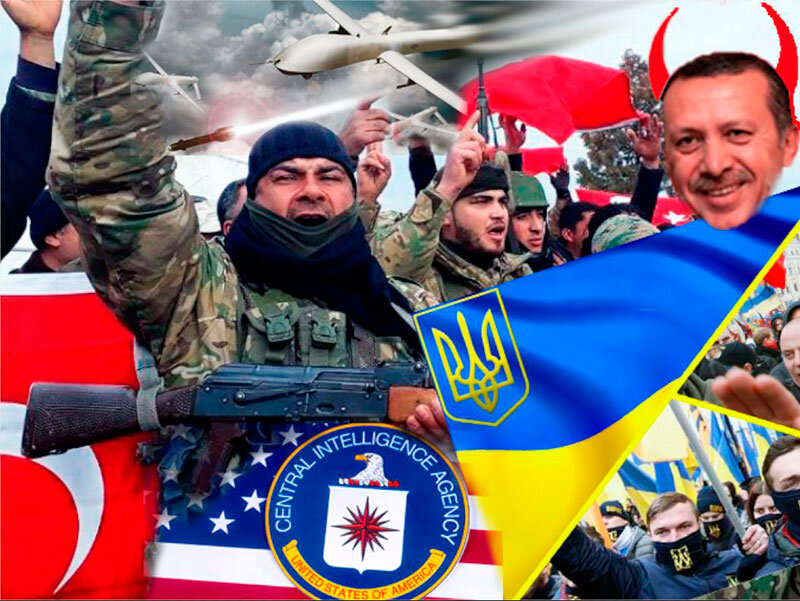 Серые волки турция