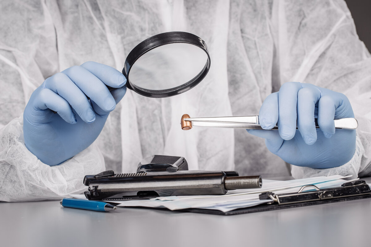 Основы судебной экспертизы | Cabron Тесты Ответы | Дзен