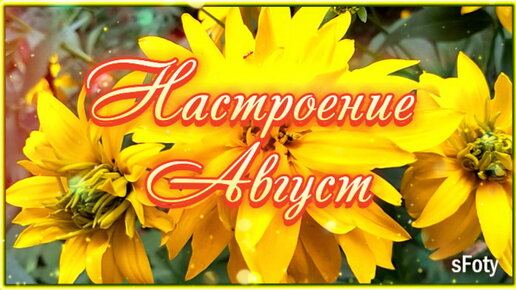 Настроение Август! Душевные стихи, цветы и красивая музыка