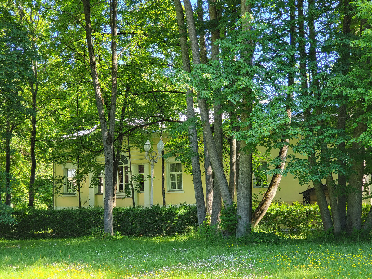 Фото усадьбы Введенское