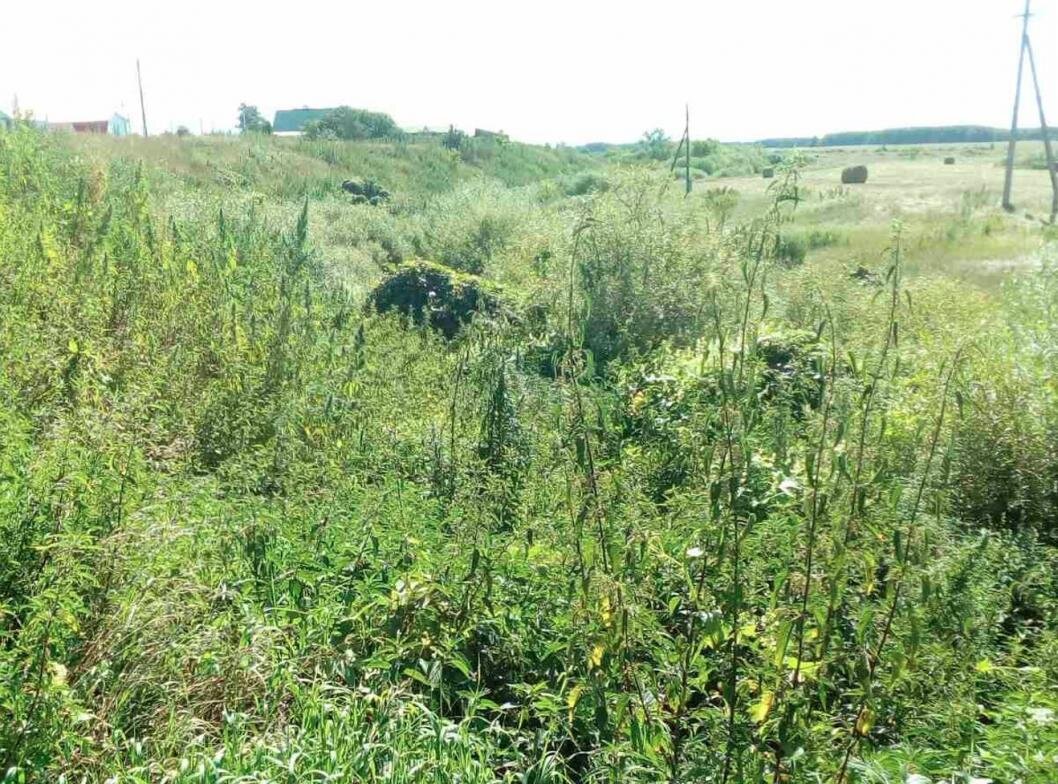 | Фото: предоставлено Надеждой Проскуряковой