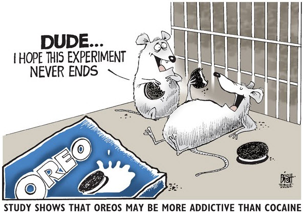 "Братан, надеюсь эти опыты никогда не закончатся"
