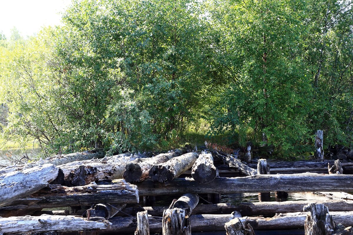 20.08.2013  12:55:04