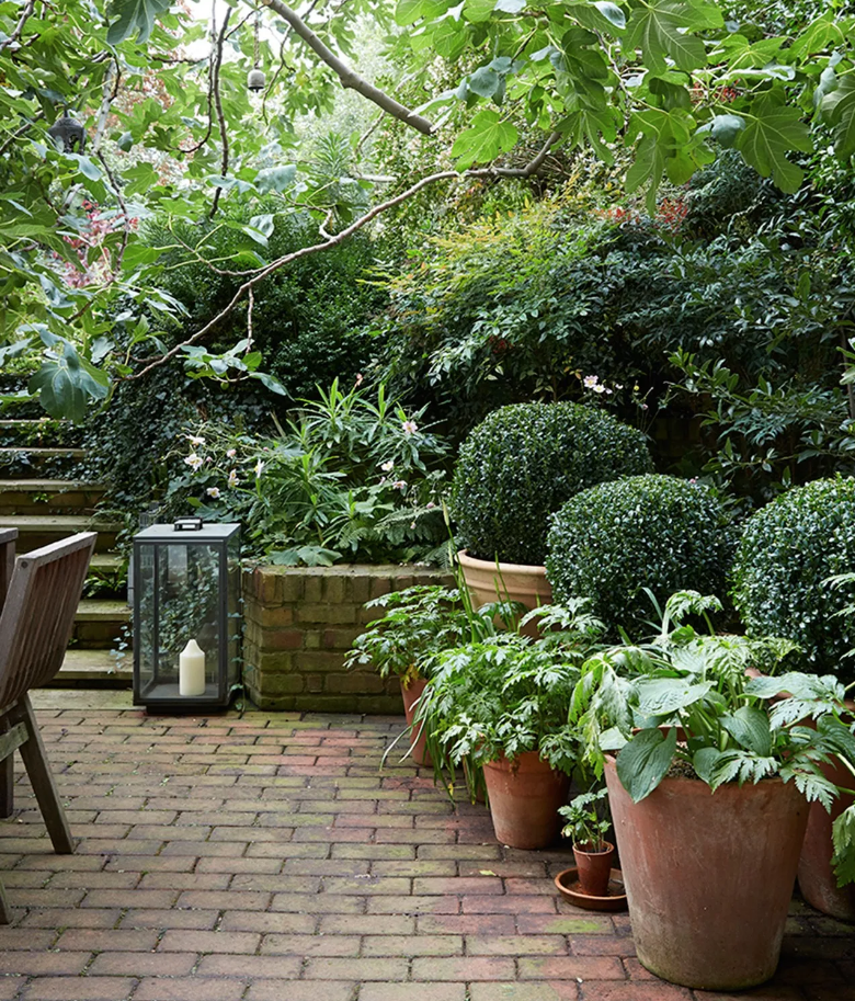 Композиция в саду. Яндекс картинки