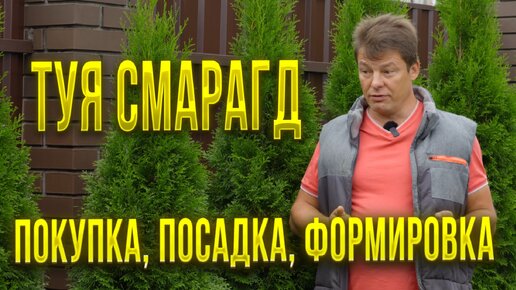 Download Video: Посадка, формировка и уход за туями смарагд для средней полосы России