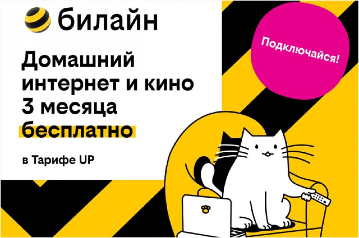 Три месяца интернета и ТВ бесплатно. Билайн запустил акцию для Тарифа UP |  Аргументы и факты – aif.ru | Дзен