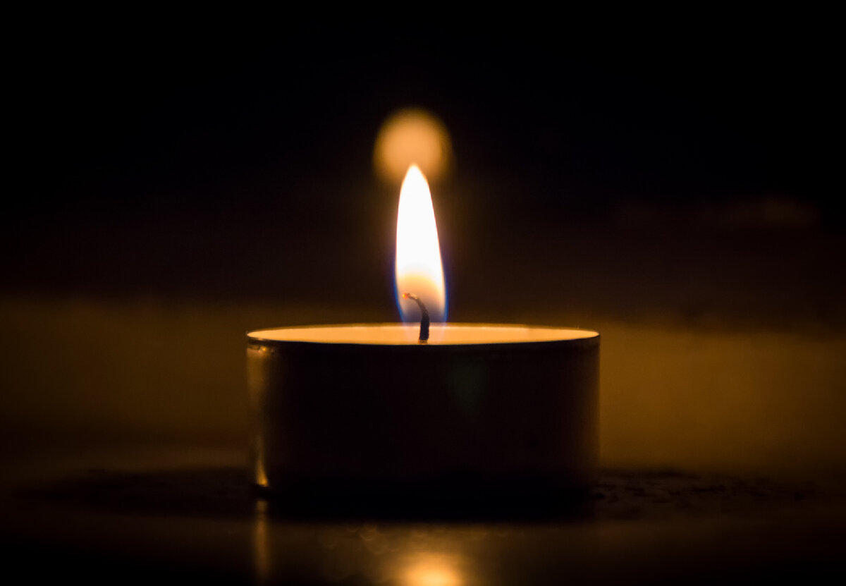    Фото: iStock/SergeyPankratov