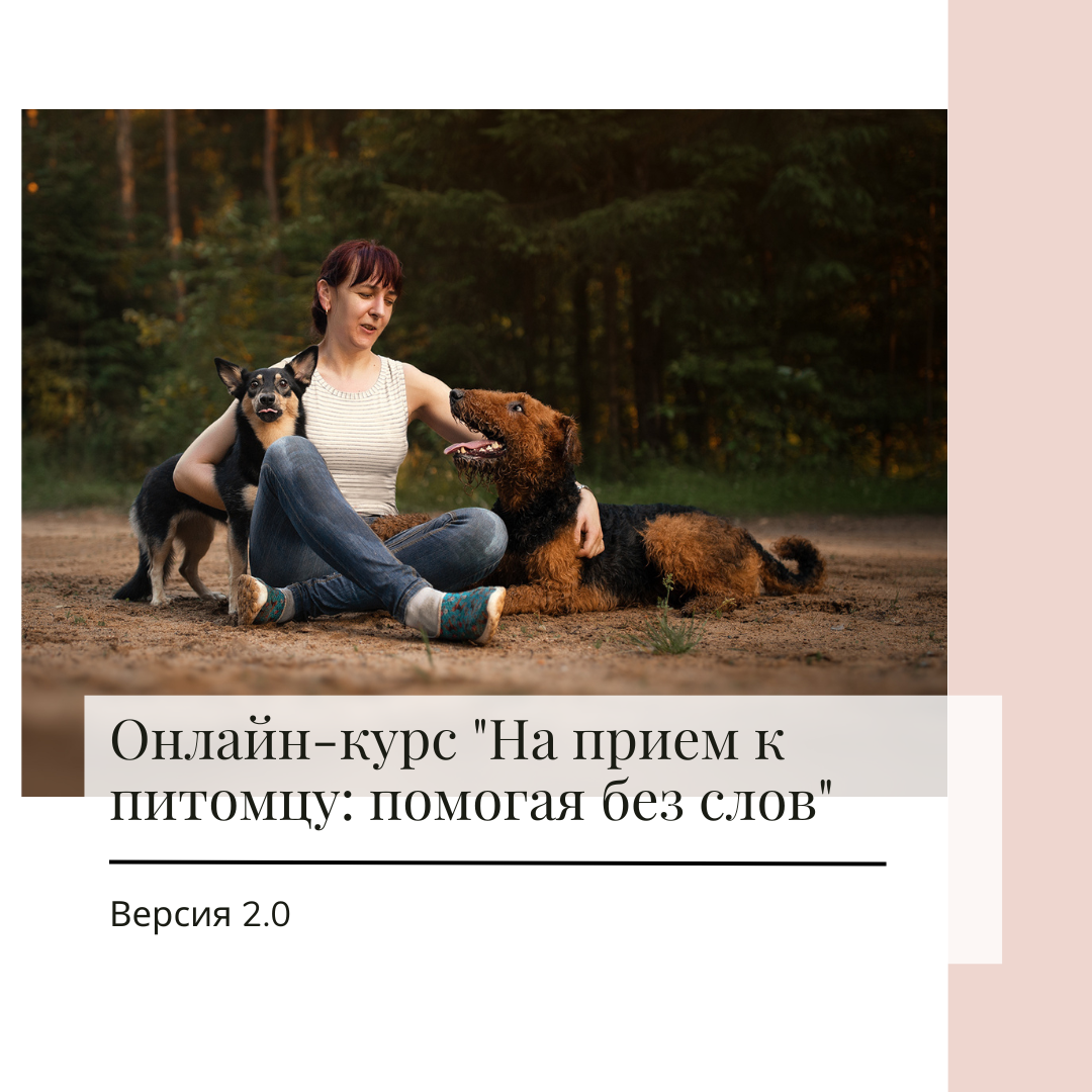 Фото: онлайн-курс анималотерапии "На прием к питомцу: помогая без слов" 2.0