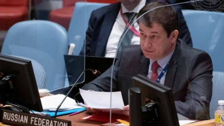 MFA RUSSIA/GLOBALLOOKPRESS 