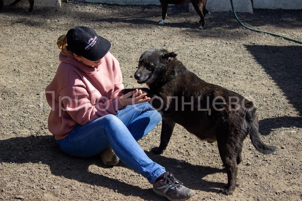 Фраза “я ненадолго”ничего не значит для собаки. Всё, что она знает -это то, что хозяин УШЁЛ.