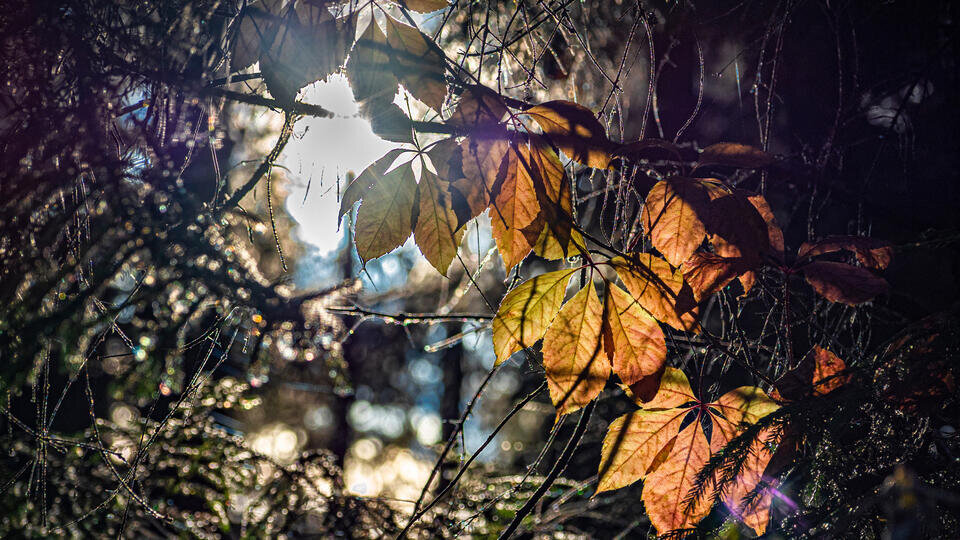 Фото: © Известия/Константин Кокошкин