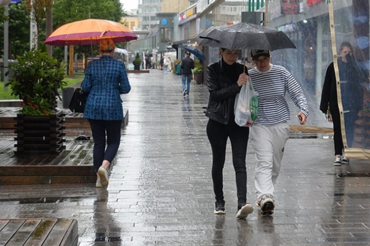    В первые выходные сентября Ростовскую область могут накрыть дожди