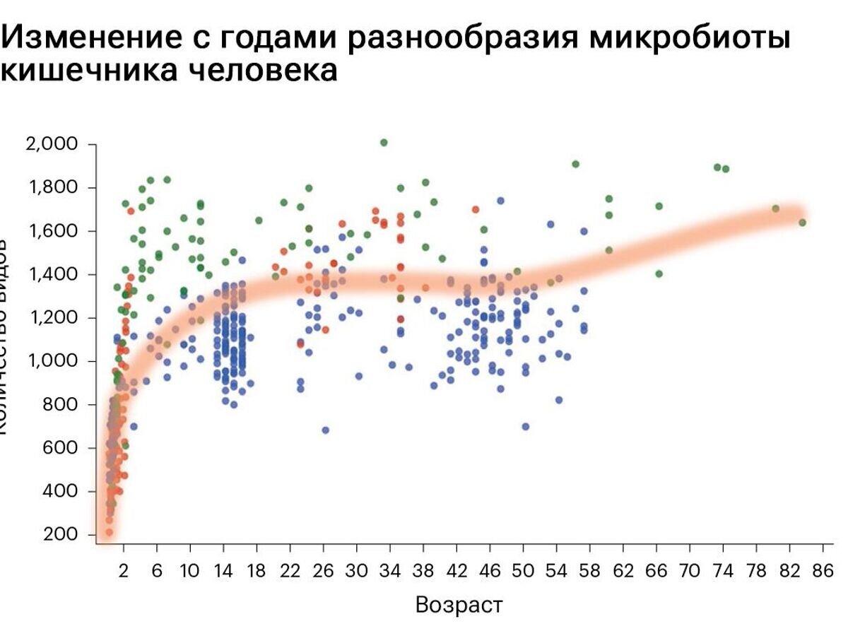    Изменение с годами разнообразия микробиоты кишечника человека© Alan W. Walker Lesley Hoyles/Nature Microbiology