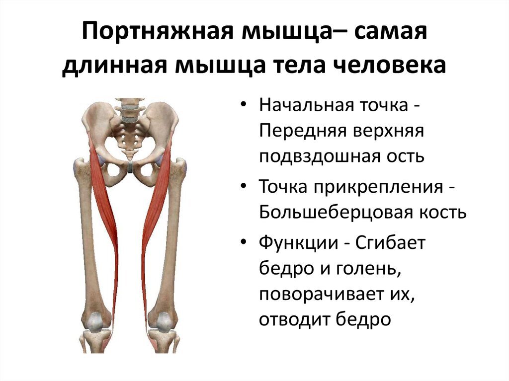 Картинка из открытых источников