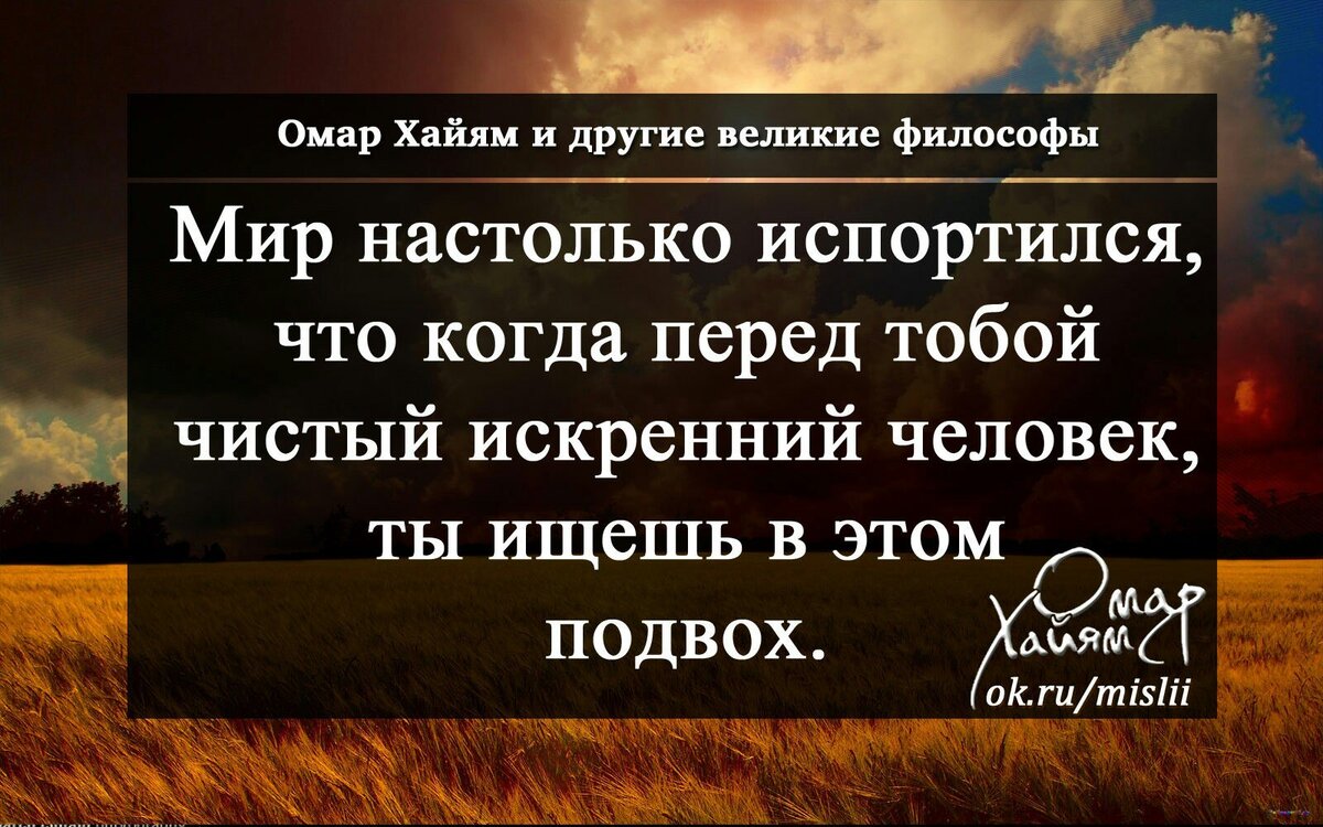 Цитаты про людей