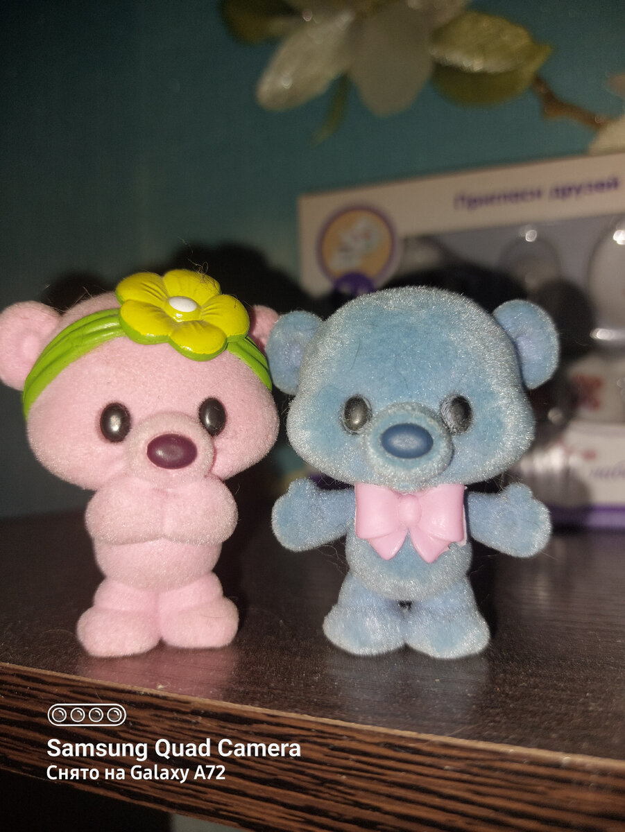 Фото автора (из личного архива)