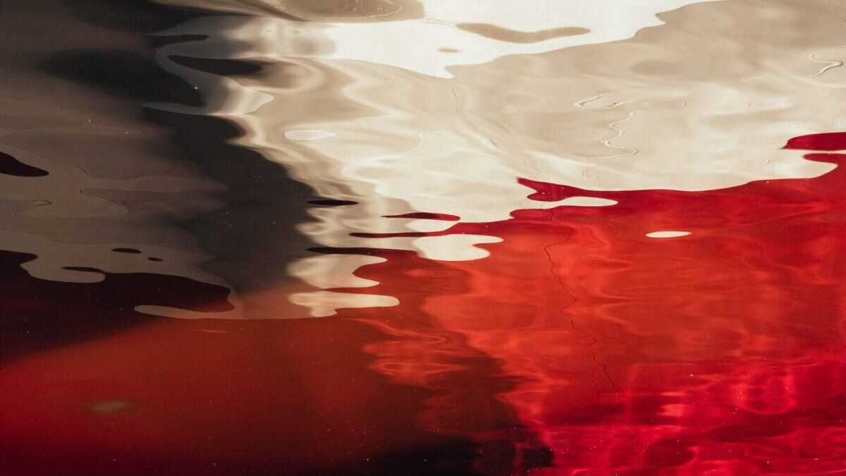    Фото: Unsplash Август Макаров