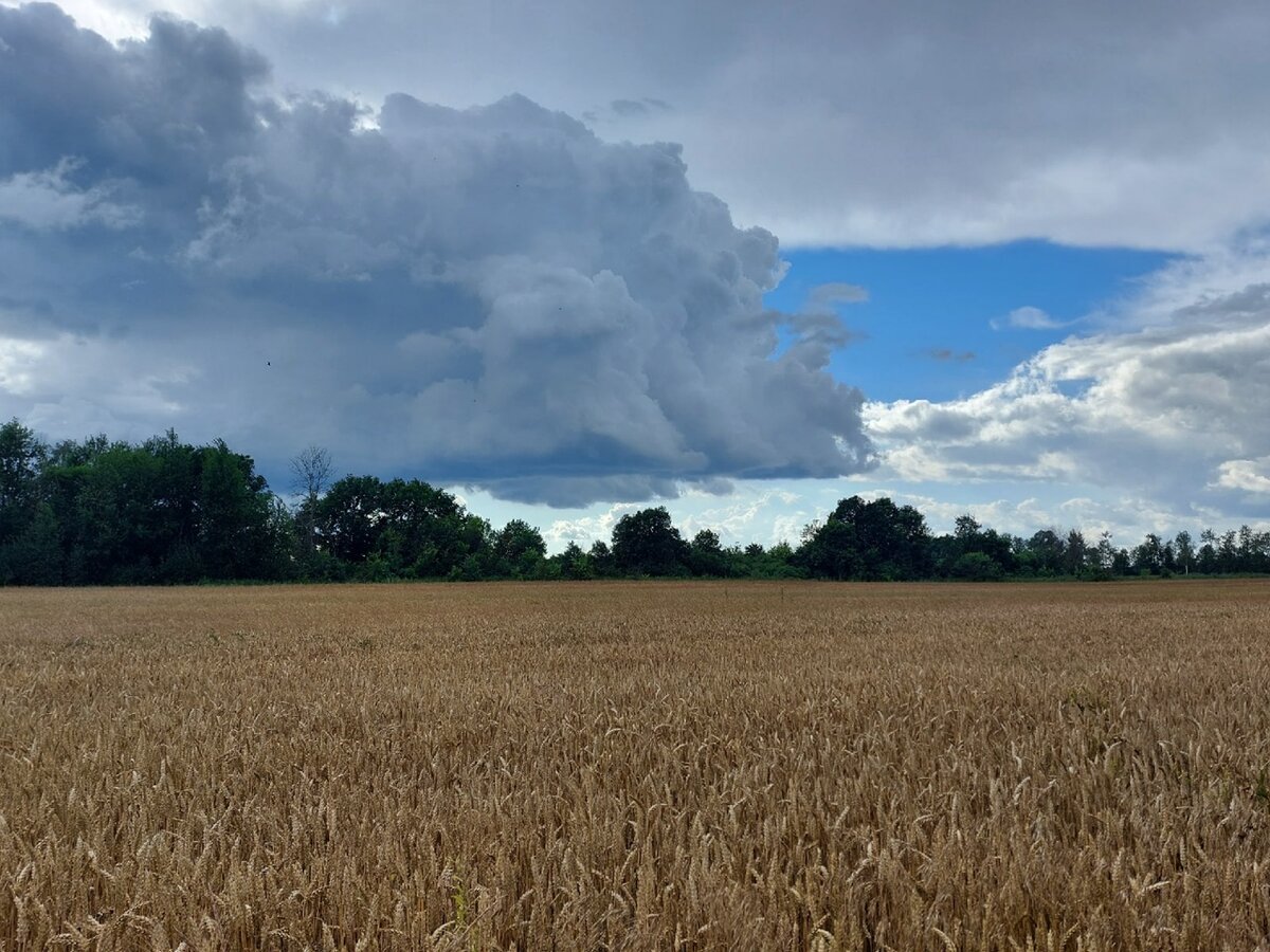 ваш характер по бацзы: если Вы земля Инь