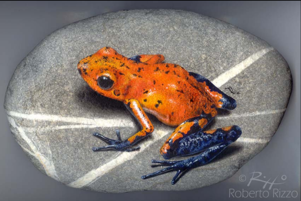 Необработанный камень, акриловые краски и - вуаля! - 3D-изображение абсолютно живой лягушки.  