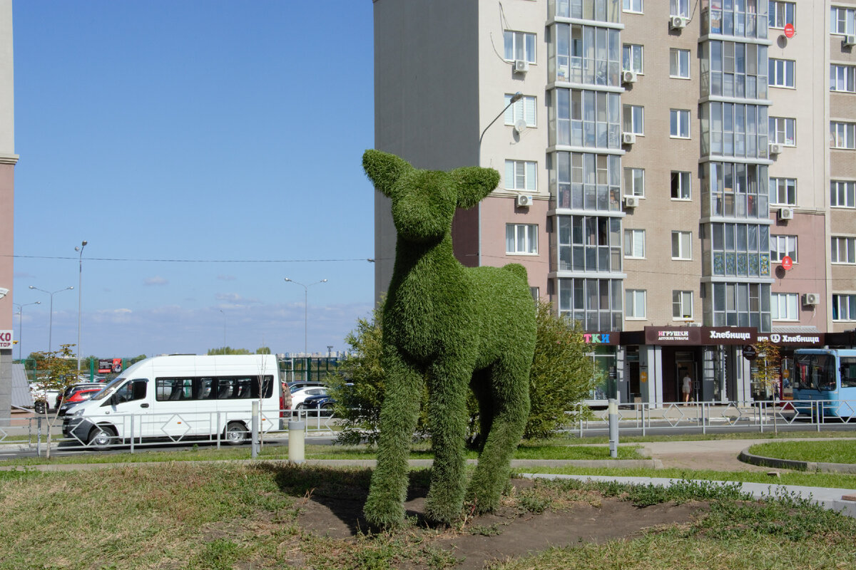 Южный город»: озираемся | Самариана | Дзен