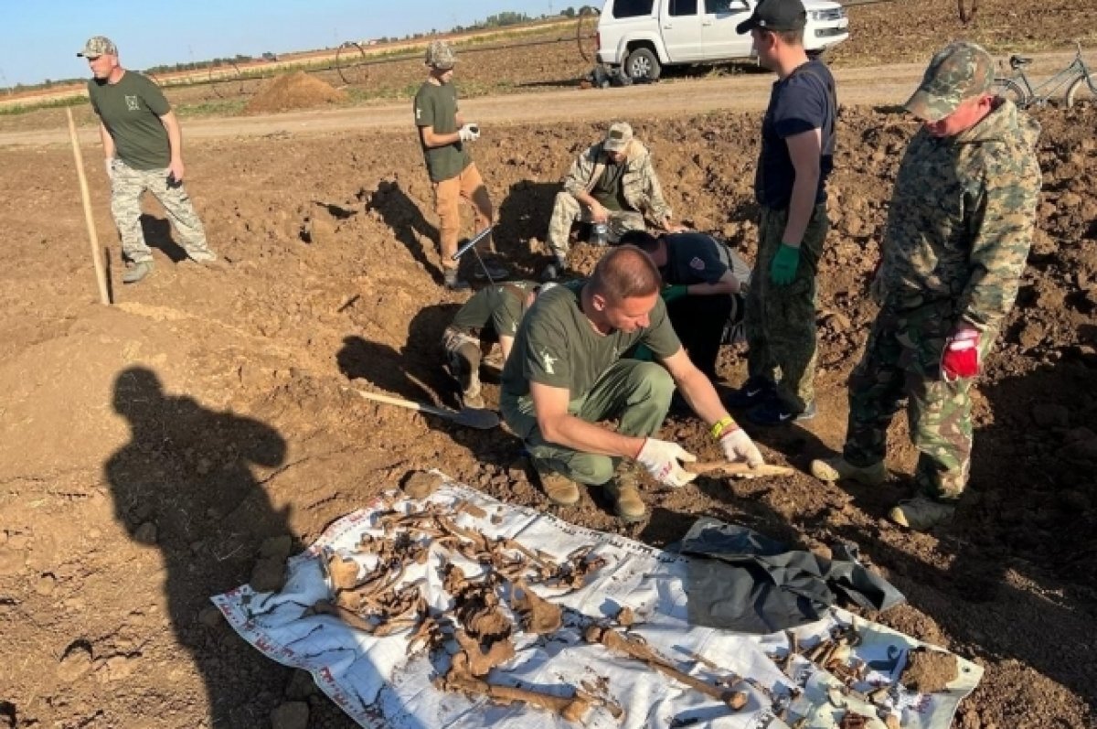    Останки 17 человек обнаружили поисковики из прокуратуры под Волгоградом