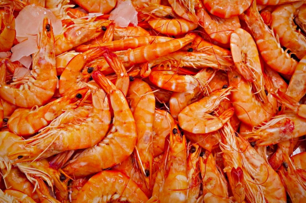    Из Омска в Казахстан пытались незаконно вывезти 1,5 тонны морепродуктов