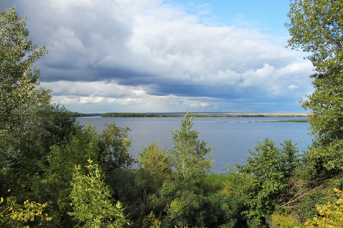 Берег Волги