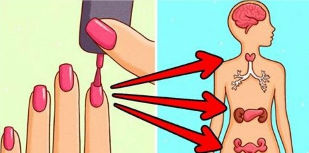 Как лак для ногтей влияет на организм женщины