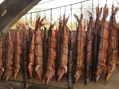 Холодное копчение