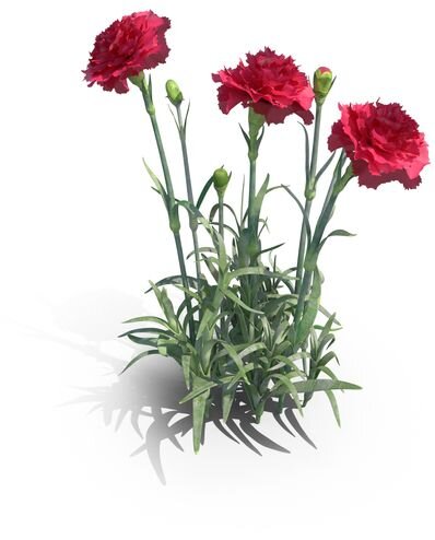 Источник https://www.pinterest.ru/pin/170925748341722875/