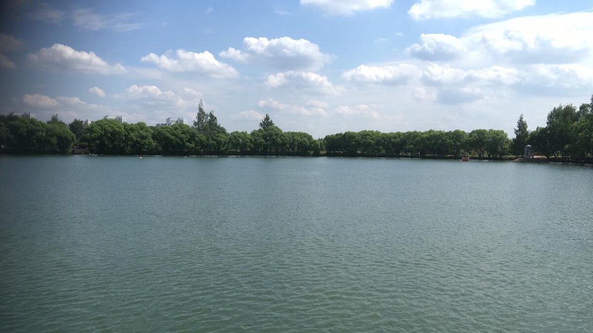 Источник: Фото автора