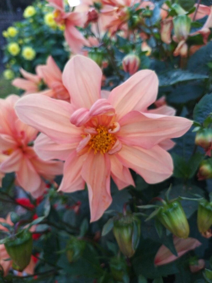                                                                                                 Фото автора статьи