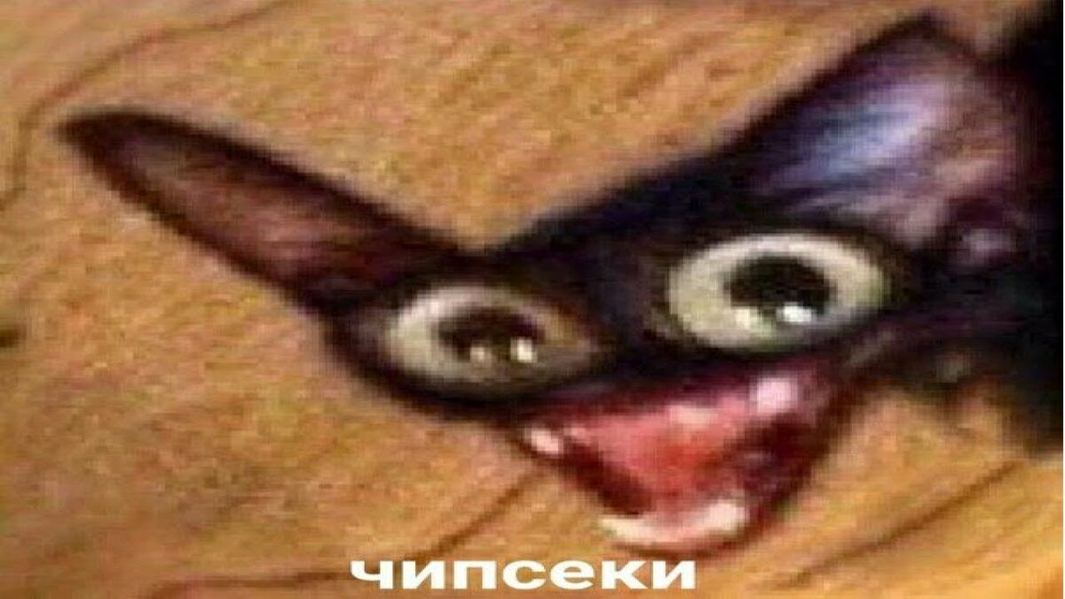 Ела их втихоря и проблемы со здоровьем в том числе гастритик настигли меня и отпинали