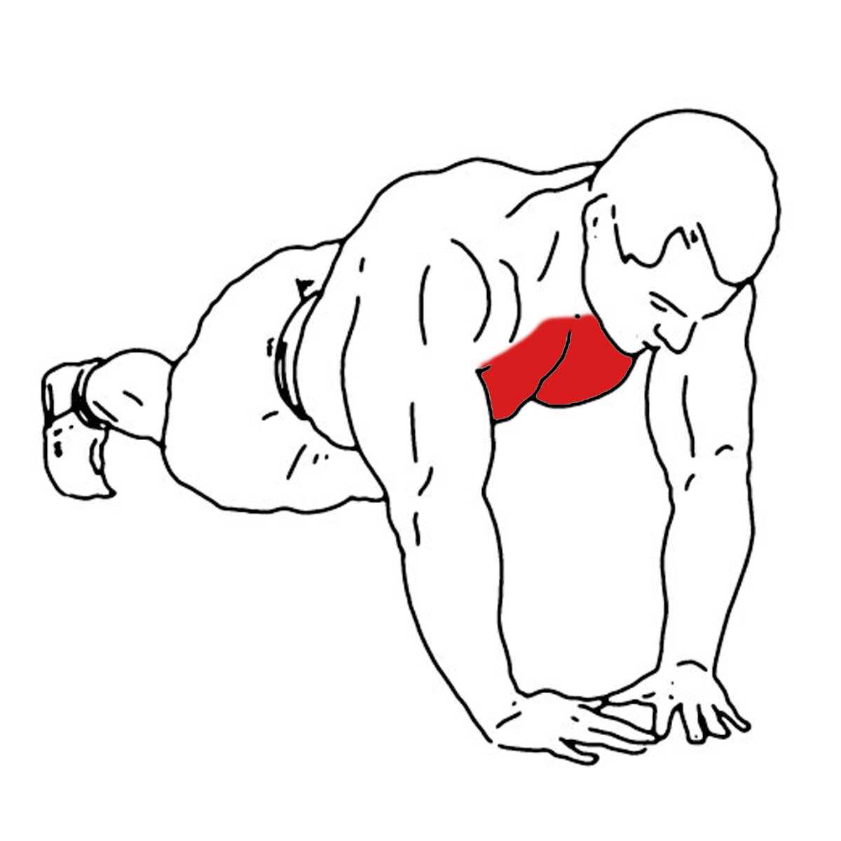 Упражнения на накачку груди