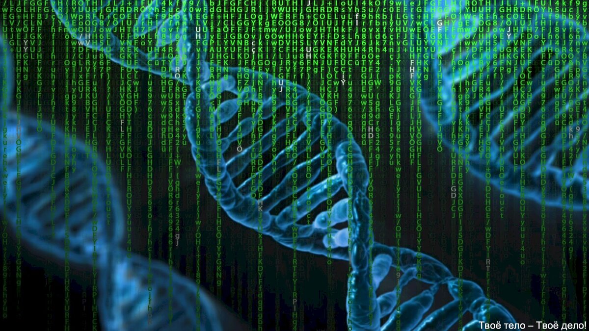 Изображение Pixabay