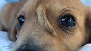 Фото:Яндекс Картинки 