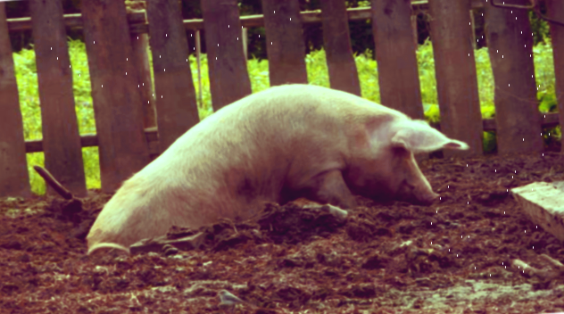 Начальный вид 