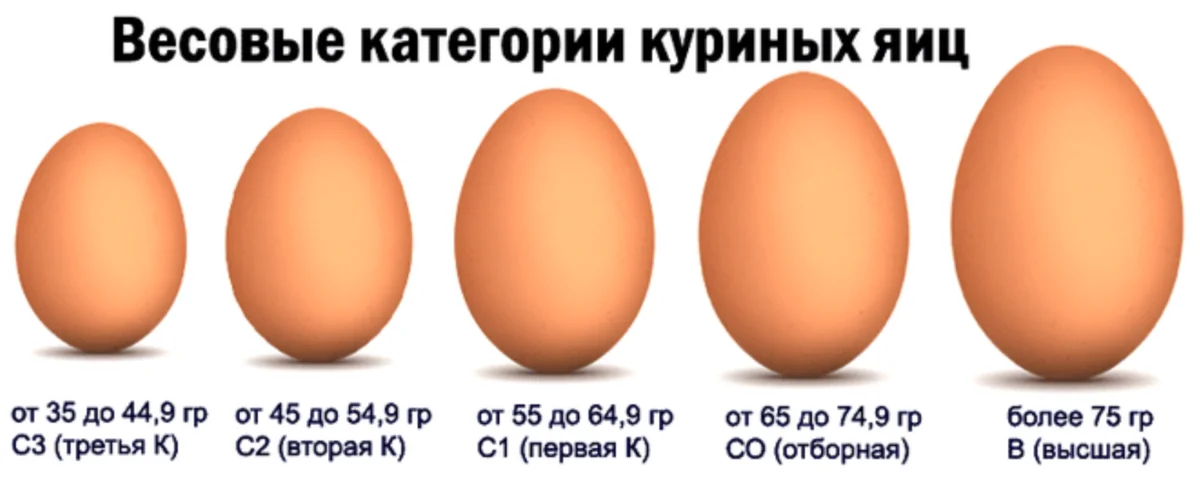 Как правильно выбирать яйца. Категории яиц с1 с2. Размер яйца 1 категории. Яйца с0 с1 с2. Категории яиц куриных с0.