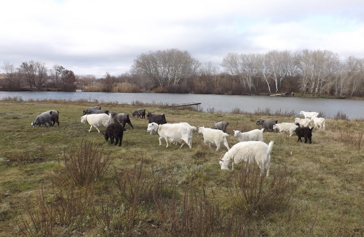 16 ноября было еще относительно тепло. Только очень сильный ветер все усложнял.